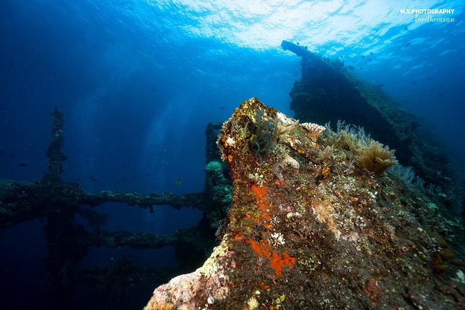 Day Trip certified divers - 3 Dives in Tulamben (pick-up & drop-off included) - When this trip is a great match