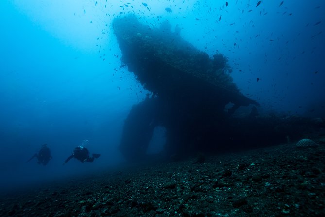 Day Trip certified divers - 3 Dives in Tulamben (pick-up & drop-off included) - Your three scuba sessions: Liberty plus Coral Gardens and Tulamben Drop Off