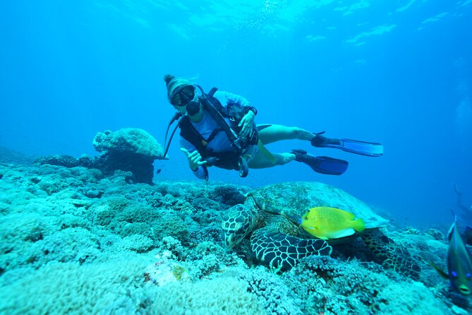 Day Trip Discover Scuba dive in Nusa Penida 2 dives (From Sanur - South Bali) - Key Highlights You’ll Actually Care About