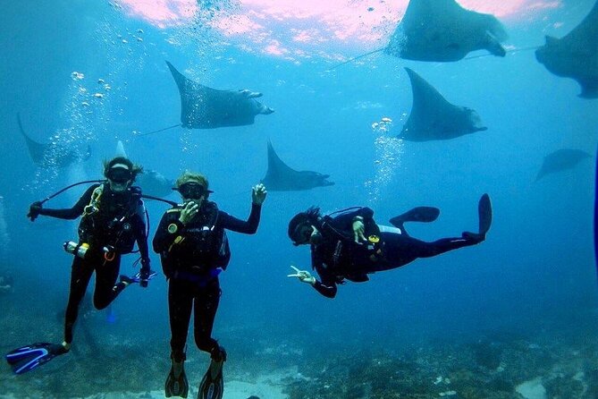 Day Trip Discover Scuba dive in Nusa Penida 2 dives (From Sanur - South Bali) - Sanur to Lembongan: The Clock Starts Early
