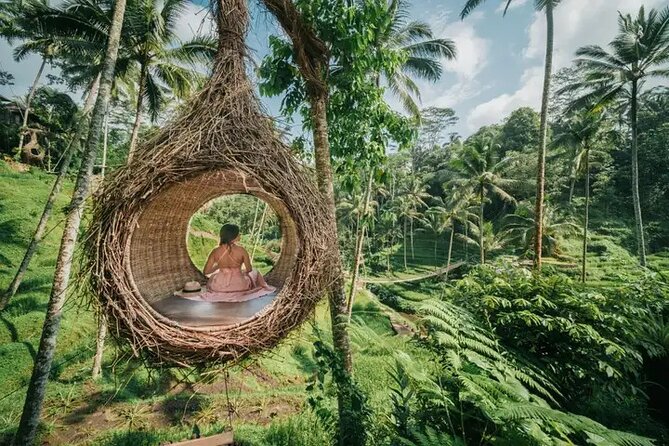 Design-Your-Own Tour: Private Customized Bali Tour - Pickup, drop-off, and the comfort that makes touring easier