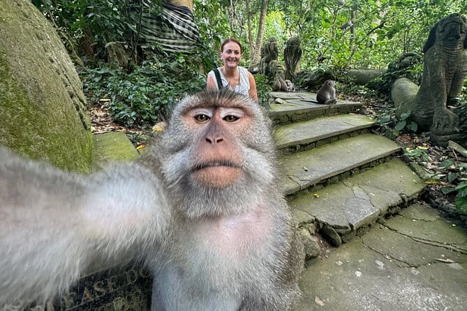 Discover Bali Best Tours: Tanah Lot, Monkey Forest, and Waterfall - Tegenungan Waterfall near Ubud: a jungle refresh with limited time