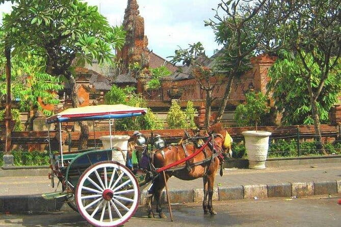 Discover Bali : Shore Excursion from Benoa Port with Free Wi-Fi - Key highlights worth your attention