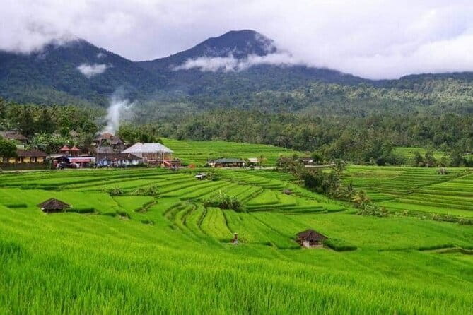 Discover Bali : Shore Excursion from Benoa Port with Free Wi-Fi - Touring with a guide: what I’d watch for on this type of day