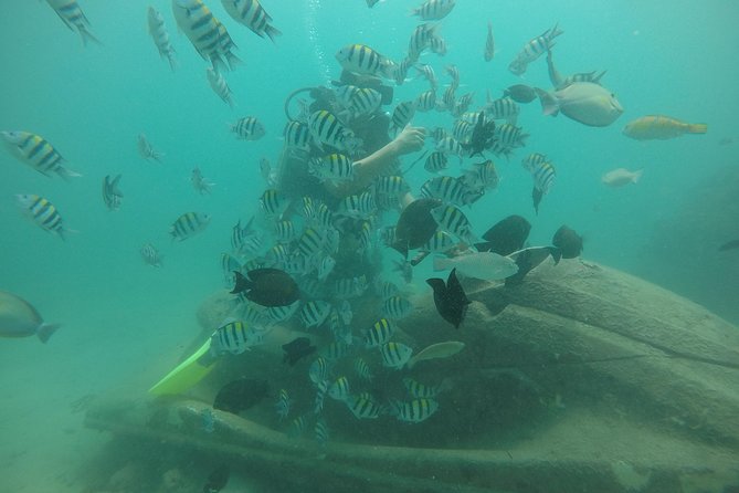 Discover Scuba Diving ( beginners) Combined With Jet Ski - A First-Timer Combo Built for Nusa Dua’s Water Day
