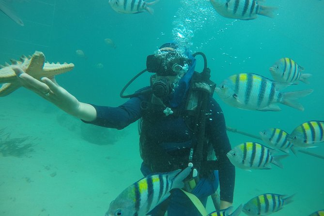 Discover Scuba Diving ( beginners) Combined With Jet Ski - Entering the Water: Gear, Briefing, and Your First Underwater Skills