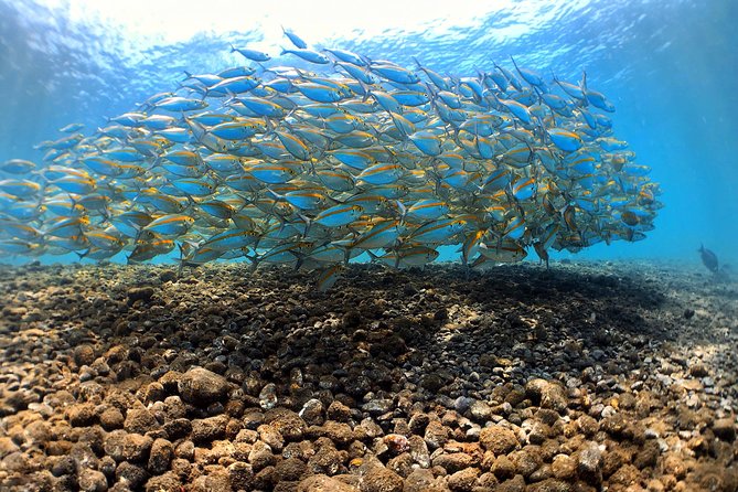 Discover Scuba Diving Tulamben Bali For Non-Certified Divers - Morning pickup and the trip from Kuta to Sanur to Tulamben