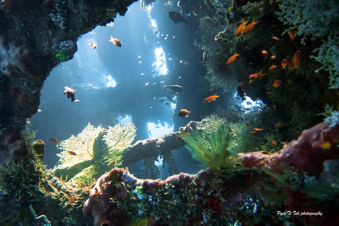 Diving in Tulamben - Two shore sessions: how the day flows from morning to afternoon