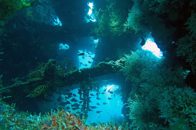 Diving in Tulamben - What’s included on land: lunch, gear readiness, and small-group comfort