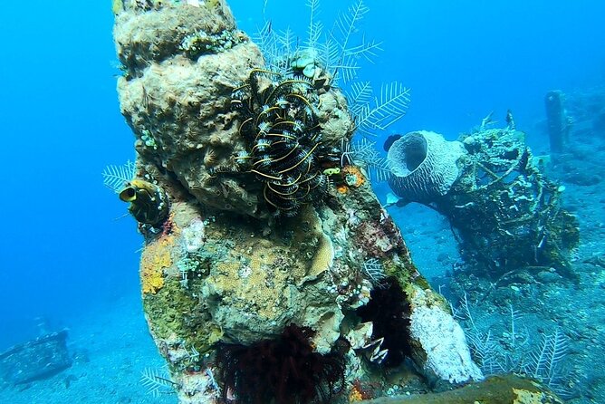 Diving in Tulamben - Sanur pickup and the AC bus ride with Agung in the background