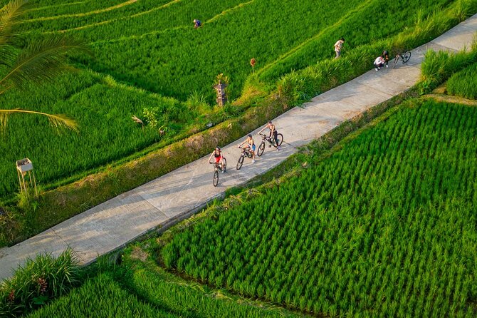 eBike Ubud Rice Terraces and Traditional Villages Cycling - Subak irrigation: what to look for while you ride