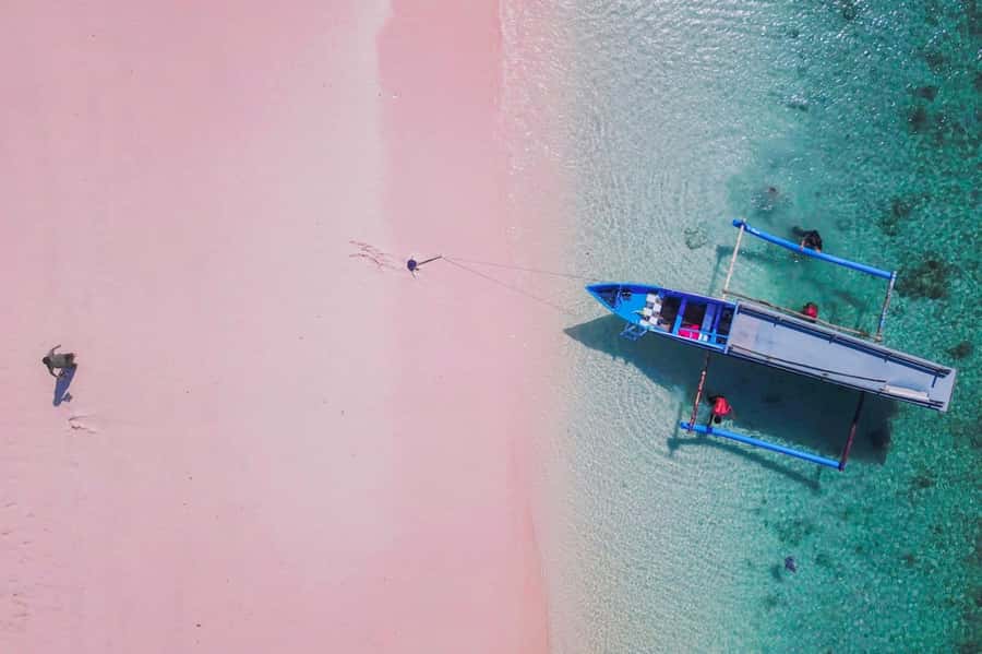 Exclusive One-Day Tour to Lombok's Pink Beach and 3 Gilis - Key Things I’d Plan Around