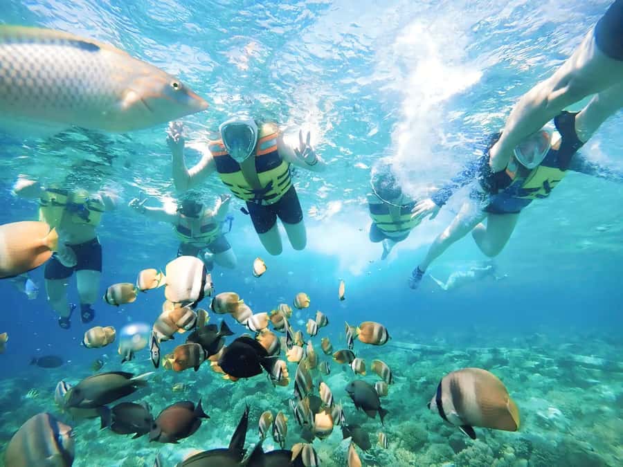 Exclusive One-Day Tour to Lombok's Pink Beach and 3 Gilis - Pink Beaches, Gili Islands, and a Private Boat Day