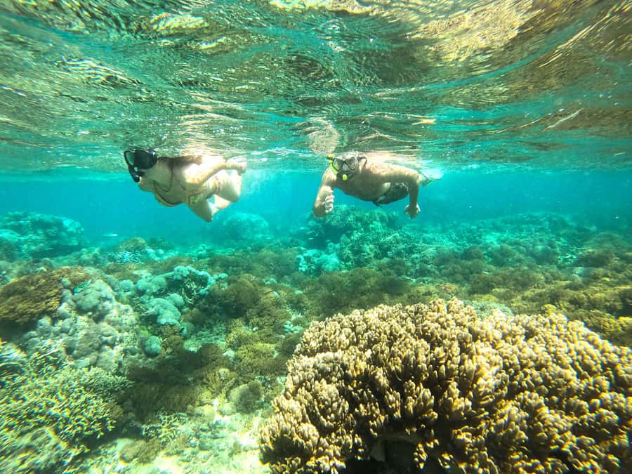 Exclusive One-Day Tour to Lombok's Pink Beach and 3 Gilis - Lunch and the Small Cultural Stops You Might Get