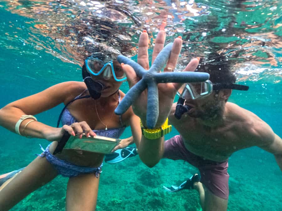Exclusive One-Day Tour to Lombok's Pink Beach and 3 Gilis - Timing, Transfers, and What 10 Hours Feels Like