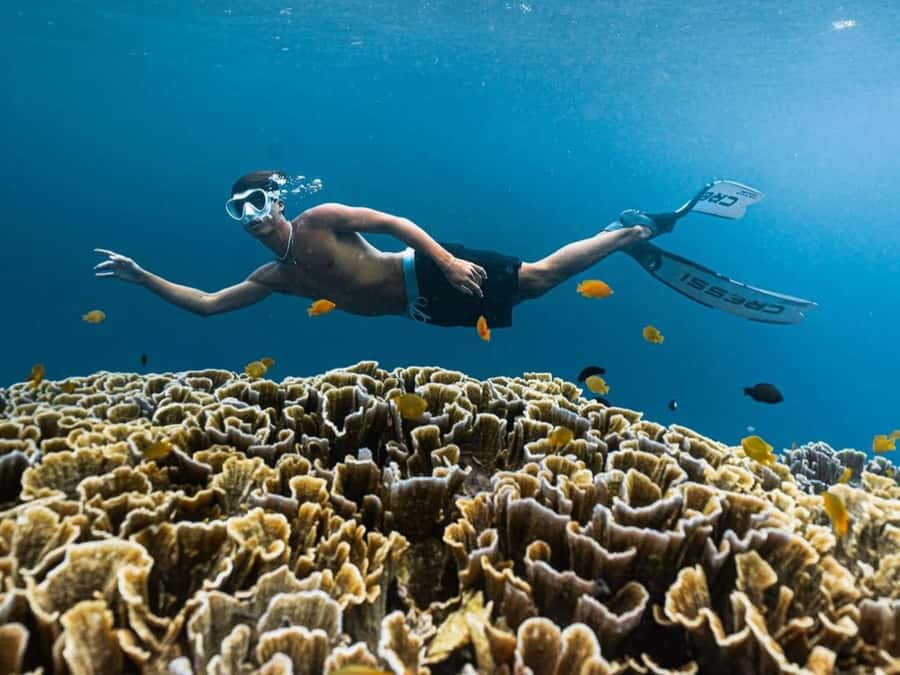 Exclusive One-Day Tour to Lombok's Pink Beach and 3 Gilis - Price Value: Is $56 a Smart Deal?