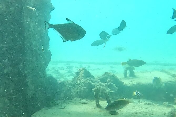 Experience Snorkeling in Sanur - Sanur snorkeling on a jukung boat: the real value of a short trip