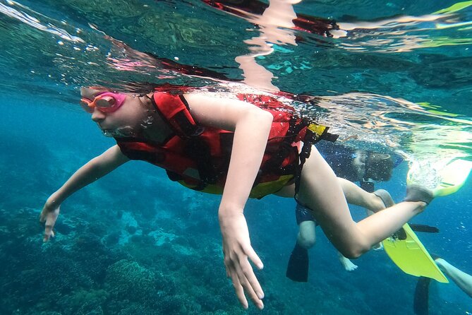 Experience Snorkeling in Sanur - Price and value: $20.18 doesn’t look like much, and that’s the point