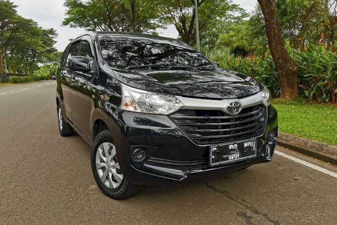 Experience The Real Bali, With Your Own Bali Private Car And Driver - Why a Private Driver Beats Self-Driving in Bali