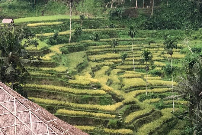 Farmer market, waterfalls, holy spring - All Inclusive - Who this tour is best for (and who should skip it)