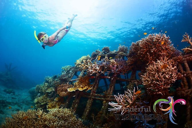 Fly Board Experience in Bali - Price and value: what $70 includes (and why that matters)