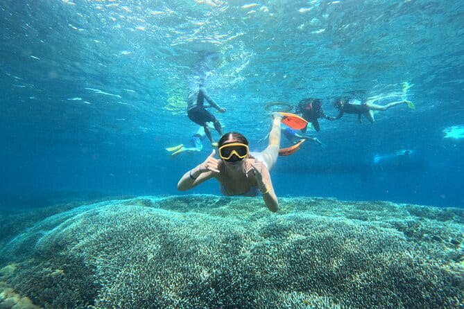 From Bali: Nusa Penida Full Day Tour and Snorkeling - Why This Nusa Penida Day Tour Works So Well
