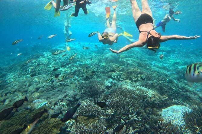 From Bali: Nusa Penida Full Day Tour and Snorkeling - Lunch, Gear, and Pace: What “Included” Means Here