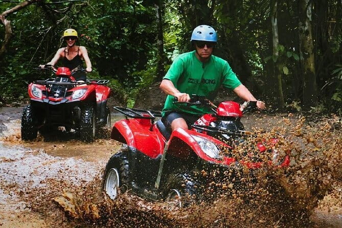 Full Day ATV Ride, Monkey Forest,Tegalalang Rice Terrace - Monkey Forest Sanctuary: temples, trails, and long-tailed macaques