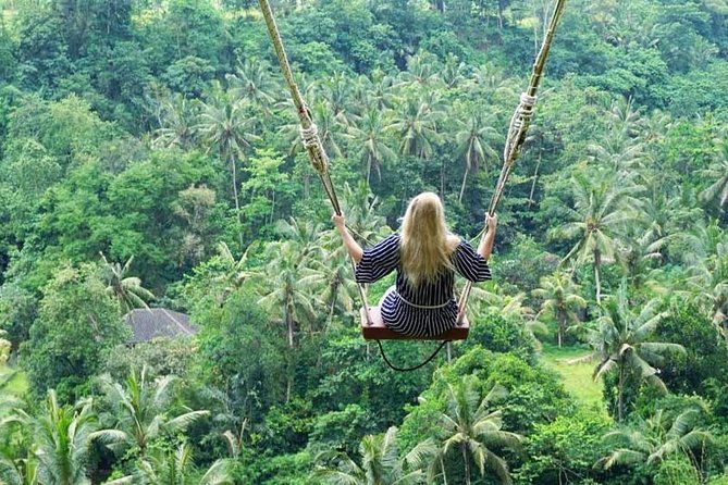 Full-Day Bali Private Customized Tours Create Your Itinerary - Nusa Penida is possible, but budget for the extra $50 per person
