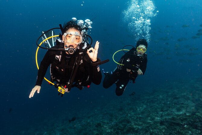 Full-Day Discover Scuba Diving Tour for Beginners in Tulamben - Price and Value: What You’re Really Paying For