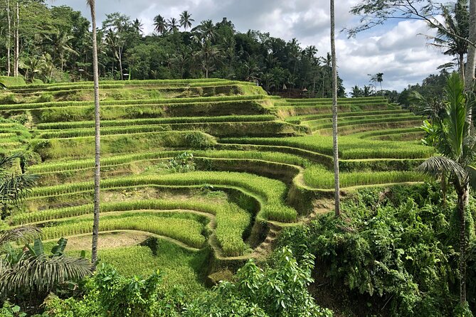 Full-Day Highlights and Best of Ubud Village - Tegenungan Waterfall: clear water views and the practical reality of stairs