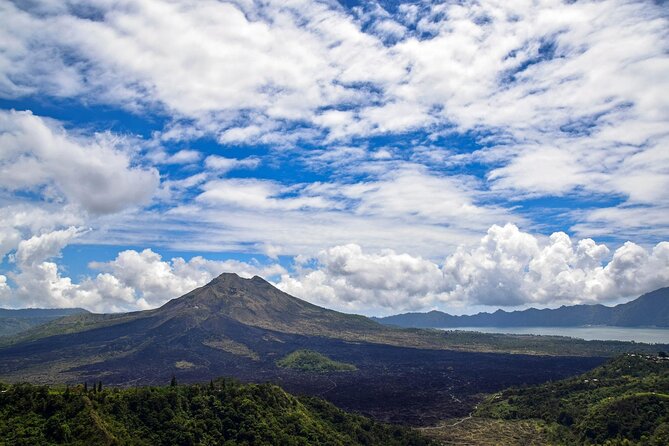 Full Day Kintamani Volcano View and Ubud Village Tour - Key Highlights You’ll Actually Feel