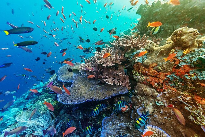 Full-Day Nusa Penida Snorkeling Adventure from Bali - Angel’s Billabong and Crystal Bay: Scenic Stops That Break Up the Day