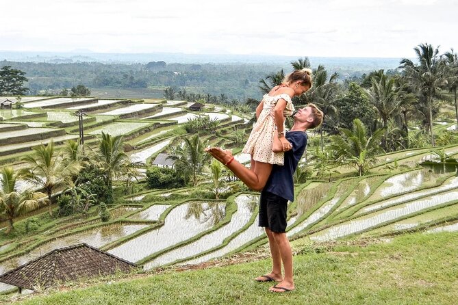 Full Day Private Tour in Bali - Price and value: is $64.94 worth it?