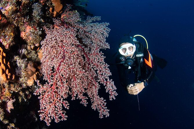 Full-Day Scuba Diving Experience of USAT Liberty in Tulamben - From Jimbaran pickup to meeting point: why the schedule feels long