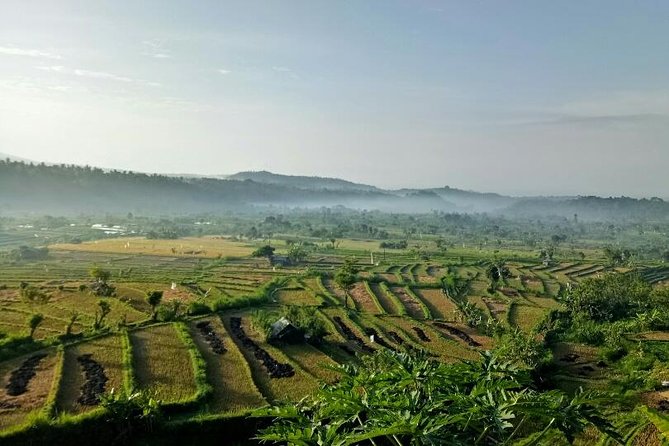 Gate of Heaven and the Amazing East Bali - Ababi Rice Fields View: Quick, Scenic, and Photo-Led