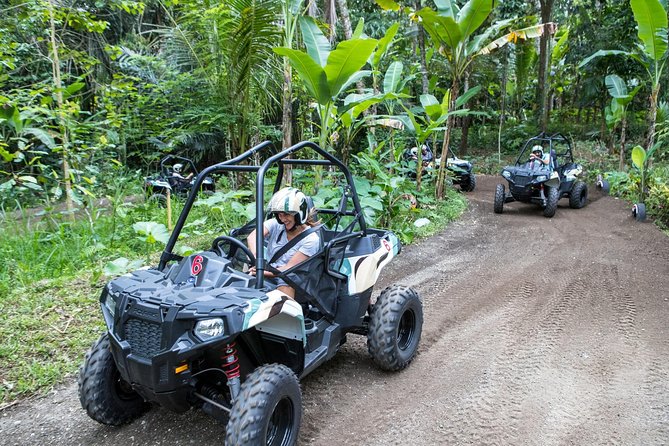 Half Day Jungle Buggies in Bali with Guide - Safety gear and insurance: what’s included, and what you should expect