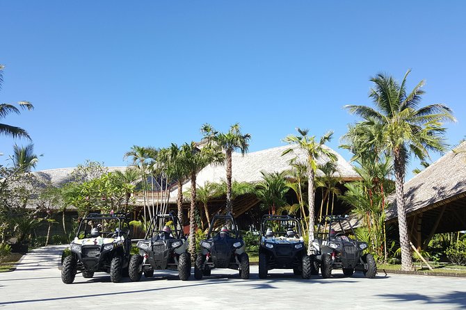 Half Day Jungle Buggies in Bali with Guide - Driving the jungle-buggy course: 3 laps, about 5 km each, and real speed