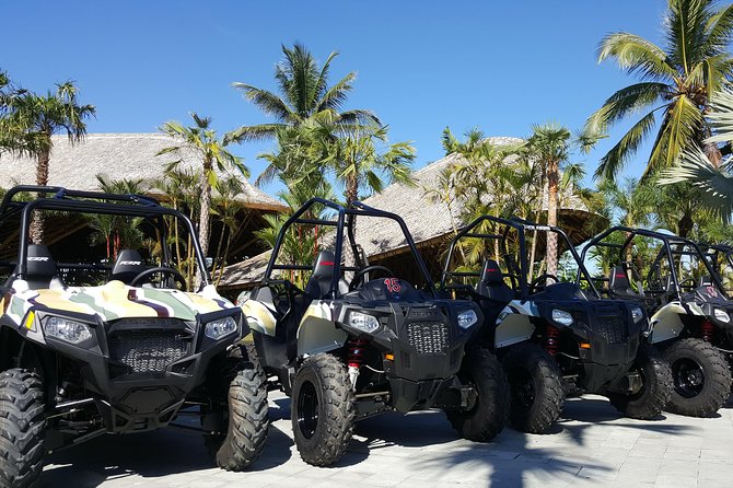 Half Day Jungle Buggies in Bali with Guide - Transportation, group size, and the value of $57