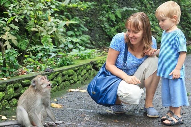 Half Day Private Tour in Ubud - Why This Half-Day Ubud Plan Works (Even When Traffic Gets Messy)