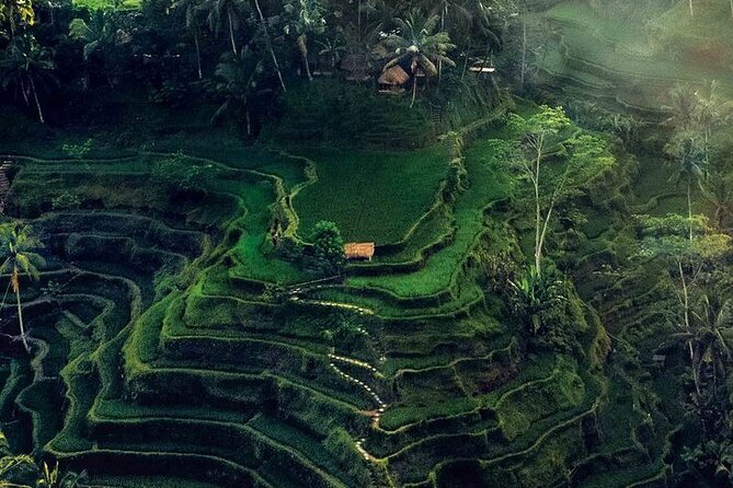 Half Day Private Tour in Ubud - Pickup to Drop-off: The Convenience Net Covers a Lot of Hotels