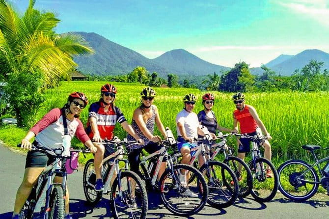 Halo Bike Cycling Tour Downhill - Price and Value: Is $50 a Smart Deal?