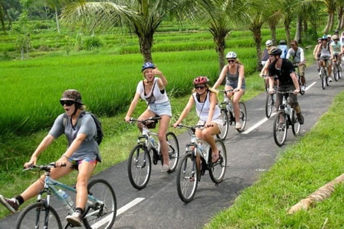 Halo Bike Cycling Tour Downhill - Yoga’s House Lunch and the Short Balinese Cooking Class