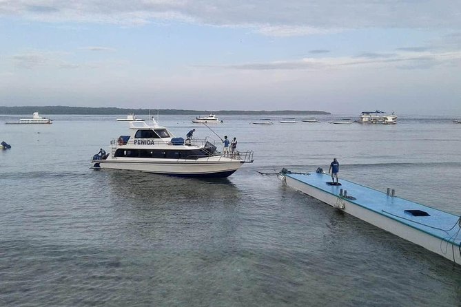 Have fun 1 day in Nusa Penida: snorkeling, kelingking & broken beach incl lunch - Getting picked up and to Mertasari Harbour: the part that saves your energy