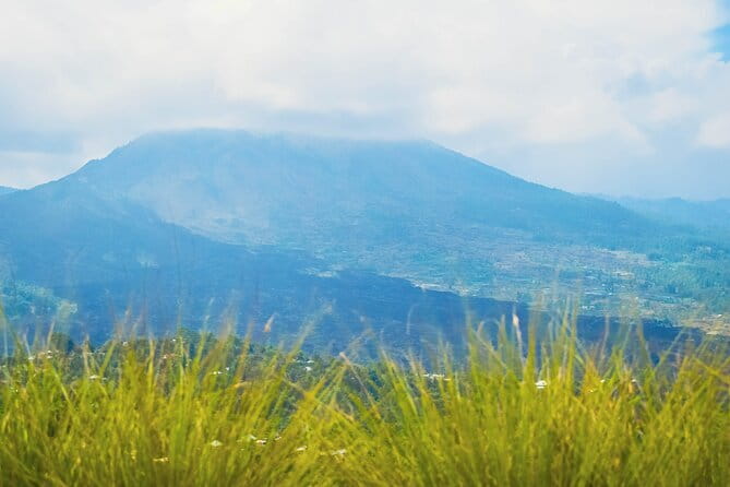 Highlight of Bali Tour - Afternoon Coffee or Tea at Bukit Jati