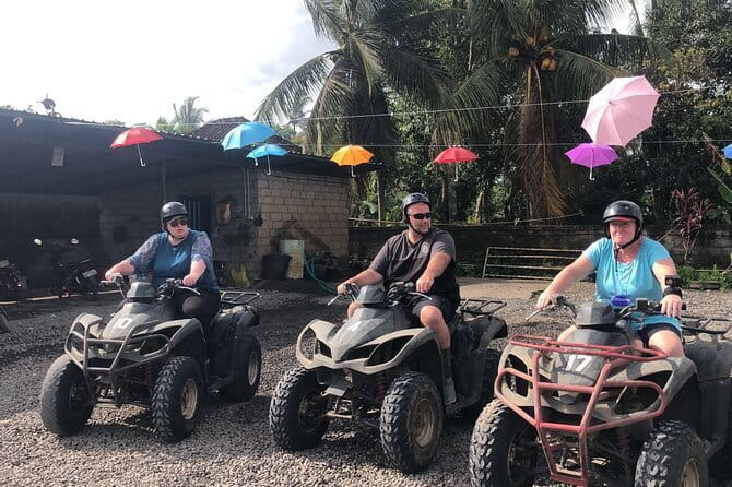 Highlight of Bali Tour - Price and Logistics: Does $70.52 Offer Real Value?
