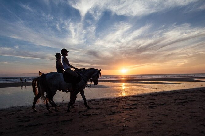 Horse Riding on the Black Sand Beach and Free Hotel Transfers - The Saba Beach black-sand ride: key highlights that matter