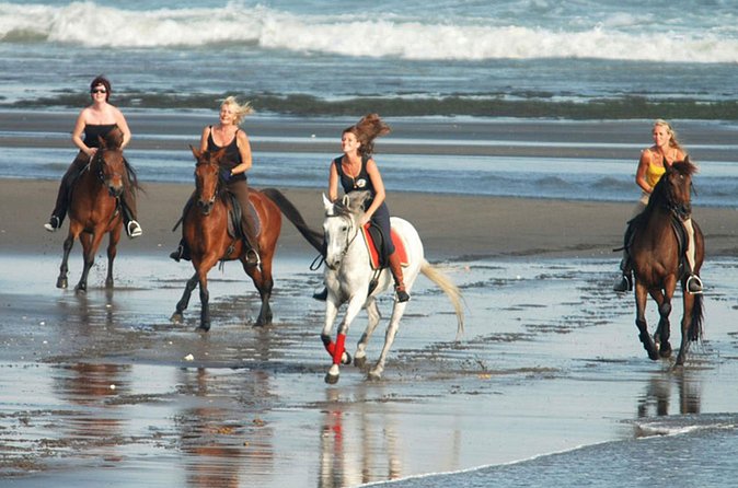 Horse Riding on the Black Sand Beach and Free Hotel Transfers - Quick tips to keep your ride comfortable and camera-ready