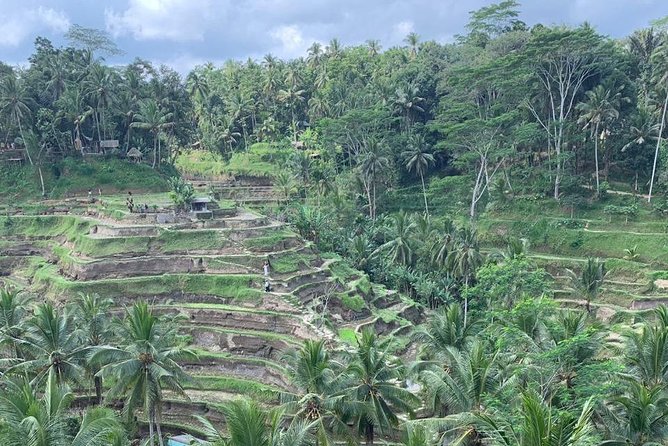 Individual Bali Day Trip with Private Driver and Free WiFi - South Bali Circuit: Nusa Dua, Cliff Beaches, Uluwatu, and Jimbaran