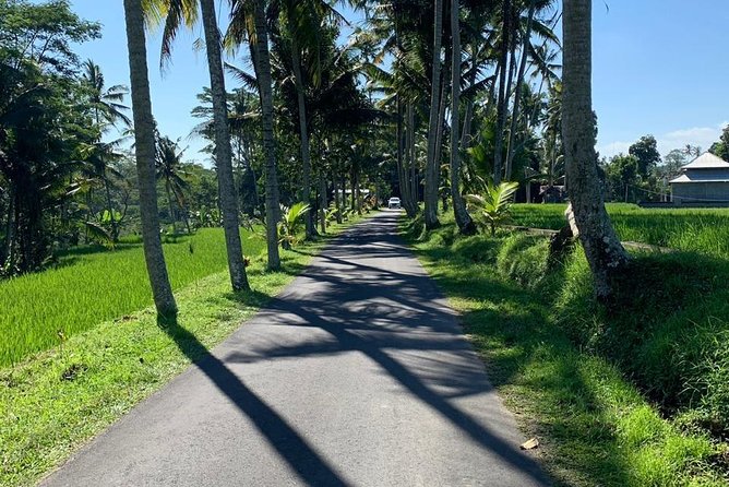 Individual Bali Day Trip with Private Driver and Free WiFi - Central Bali: Ubud Culture, Rice Terraces, Tirta Empul, and Waterfalls